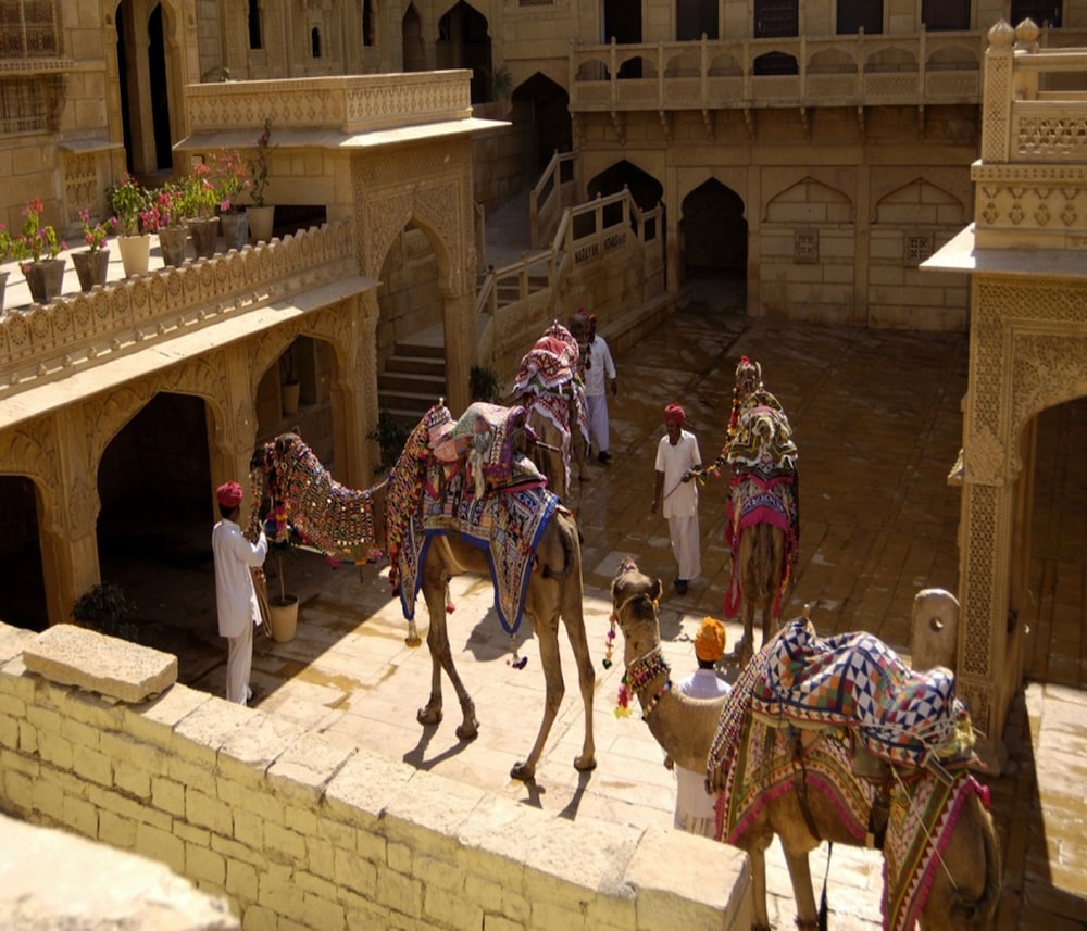 jaisalmer