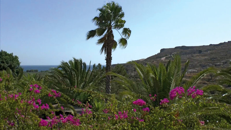 evgenia traditional studios