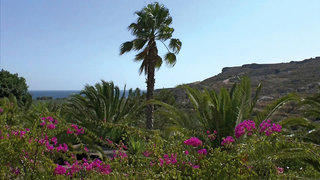 evgenia traditional studios