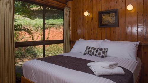 milkwood lodge