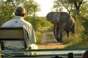 nkomazi