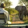 nkomazi