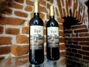 Hotel Zamek Ryn,Mikolajki>>Gizycko,4 star