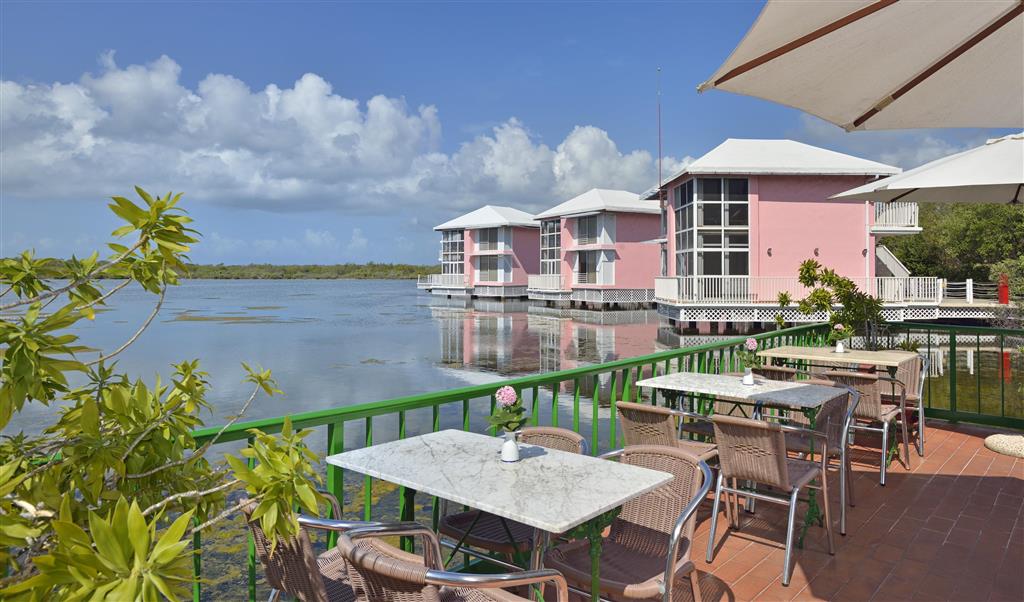 melia cayo coco