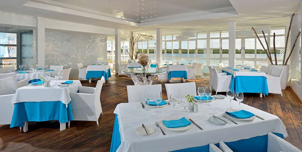 melia cayo coco