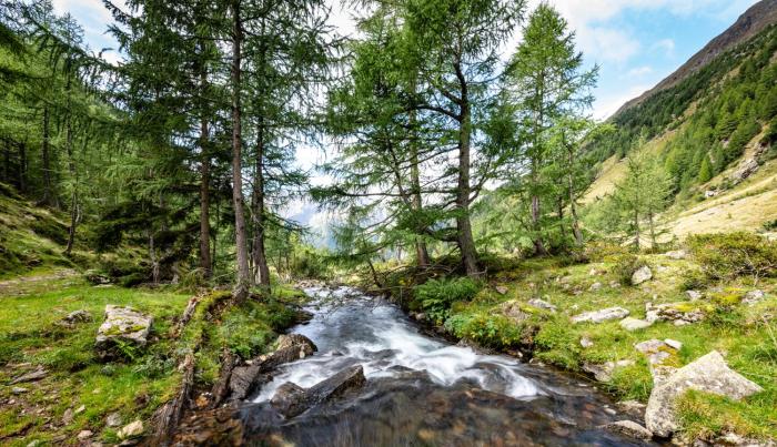 landhotel postgut tradition seit 1549