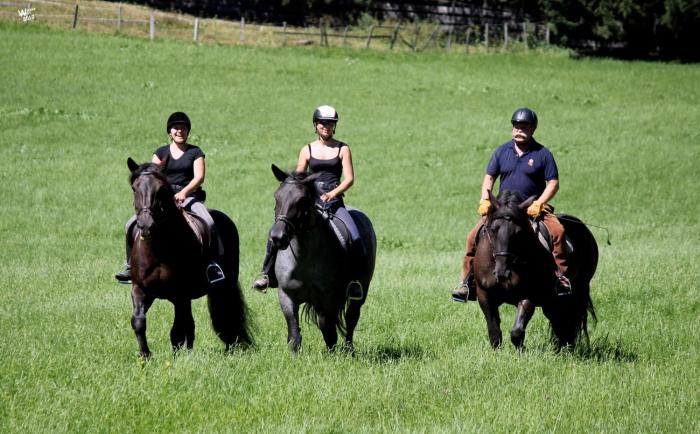 landhotel postgut tradition seit 1549