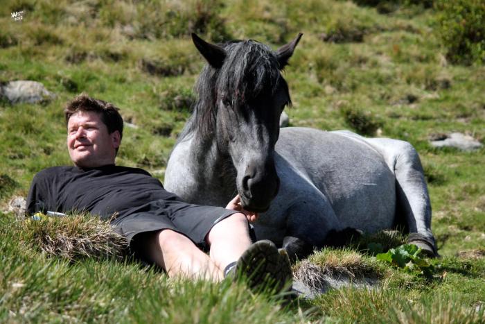 landhotel postgut tradition seit 1549