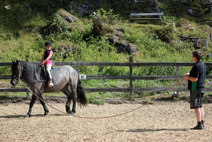 landhotel postgut tradition seit 1549