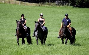 landhotel postgut tradition seit 1549