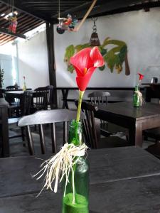 pousada dos coqueiros