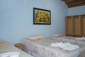 santo antonio do pinhal