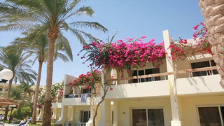 Eurotel Palm Beach Resort,Near Dongdaemun Market,3 star