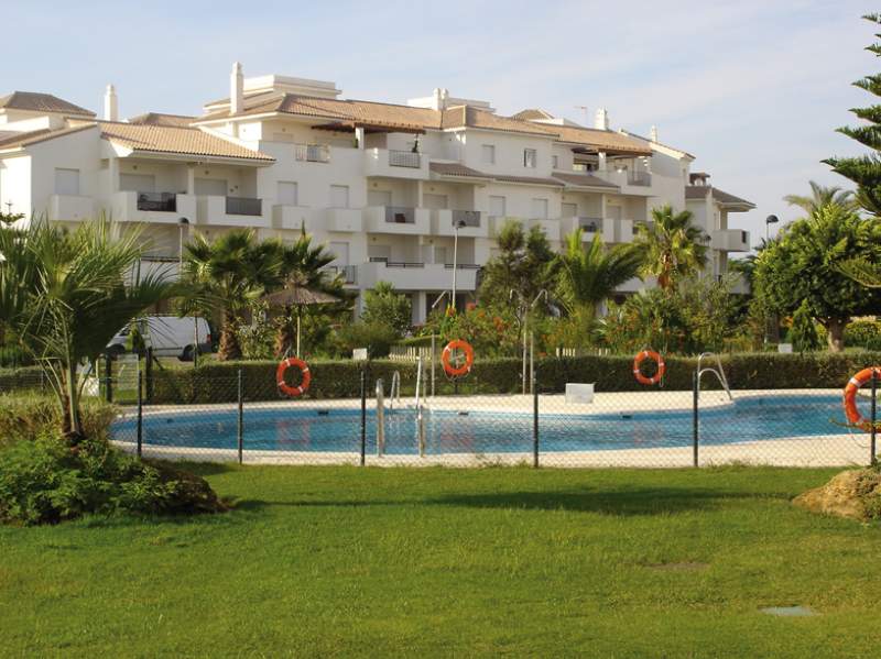 alegria costa ballena