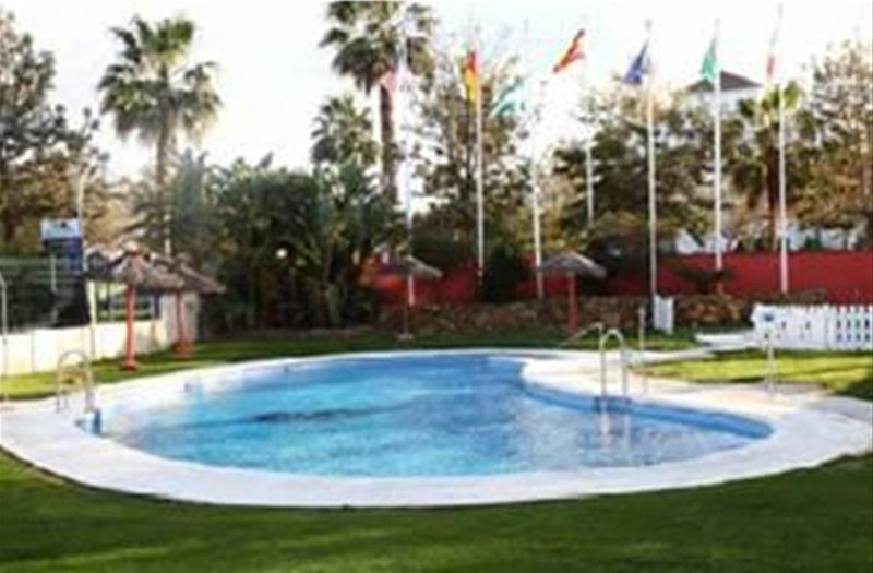 alegria costa ballena