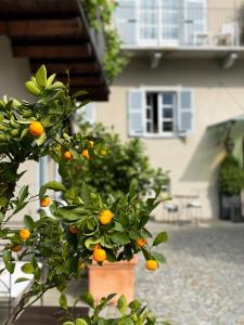 Corte Gondina Boutique Hotel,Barolo>>Alba,4 star