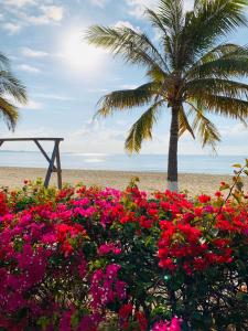 ttc resort ninh thuan unlimited access to water park