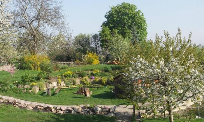 landhotel gut wildberg