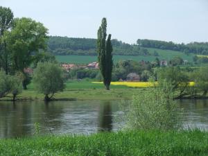 landhotel gut wildberg