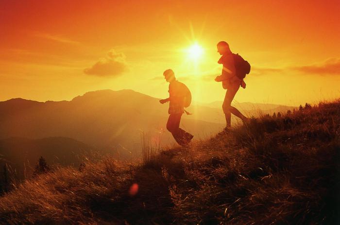 vitaloase zu den drei brudern