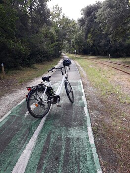 residence les alcyons