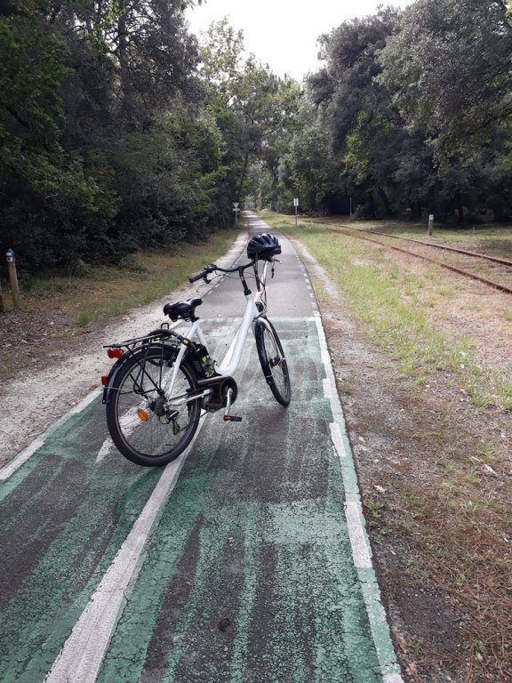 residence les alcyons