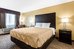 quality inn and suites metropolis i 24