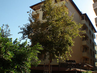 Alanya Beach Hotel,Tosmur>>Alanya,4 star