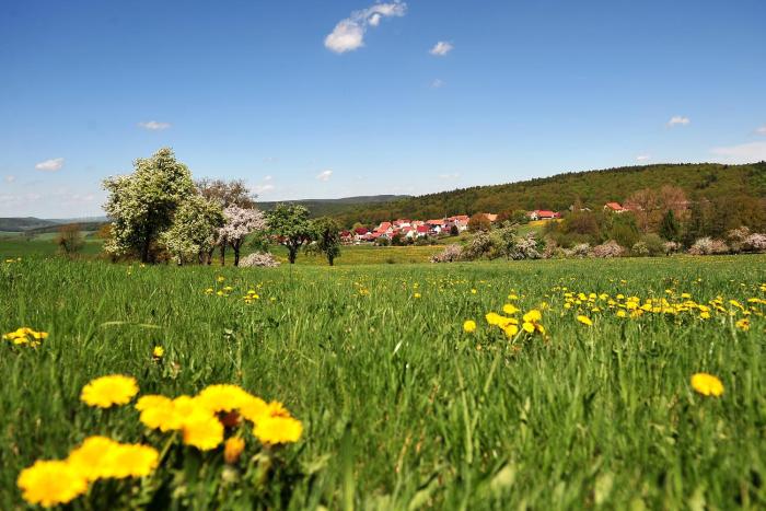 landhotel zur grunen kutte