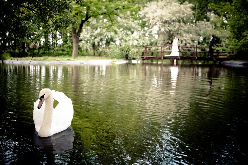 nyerges hotel thermal