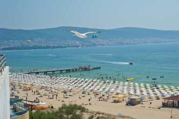 sunny beach