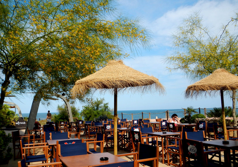 fergus cap roig