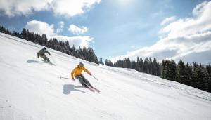 ski and bike hotel wiesenegg