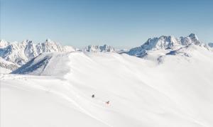 ski and bike hotel wiesenegg