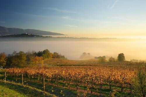 san pietro di feletto