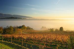 san pietro di feletto