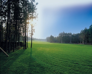 lotte resort jeju artvillas