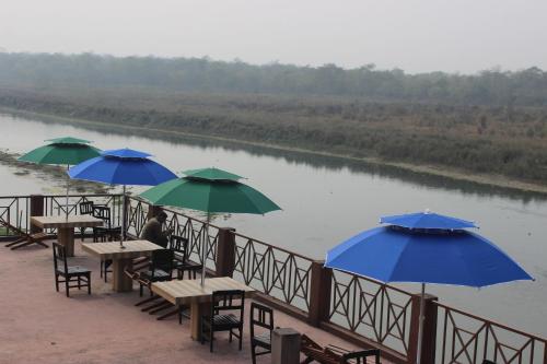 jungle wildlife camp