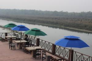 jungle wildlife camp