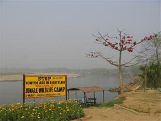 jungle wildlife camp