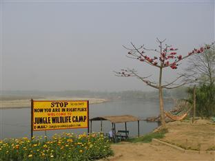 jungle wildlife camp