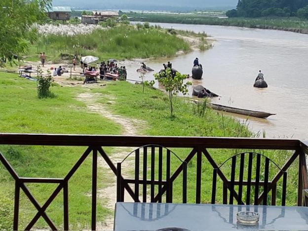 jungle wildlife camp