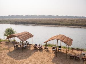 jungle wildlife camp