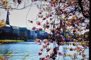 Steen's Hotel,Hamburg-Mitte>>Hamburg,3 star