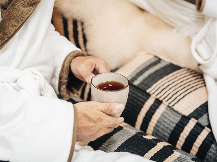 wellness and thermal retreat das muhlbach