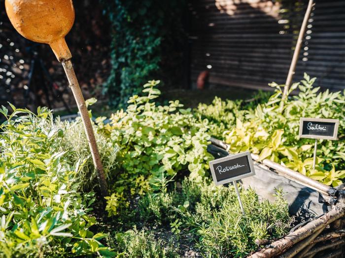 wellness and thermal retreat das muhlbach