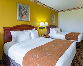 Comfort Suites Near Texas Medical Center - Nrg Stadium,Downtown Houston>>Astrodome,3 star