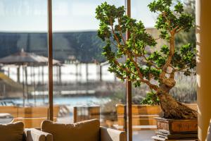hvd club hotel miramar ultra all inclusive