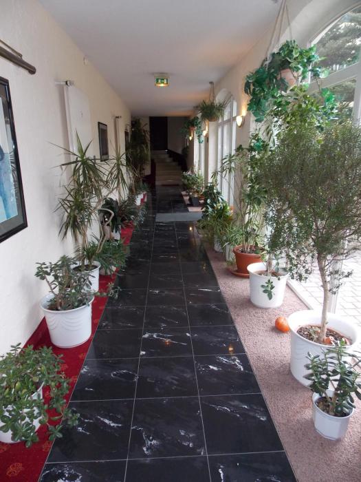 gasthof und landhotel zur ausspanne