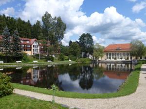 Parkhotel Bad Brambach,Bad Brambach>>Adorf,3 star